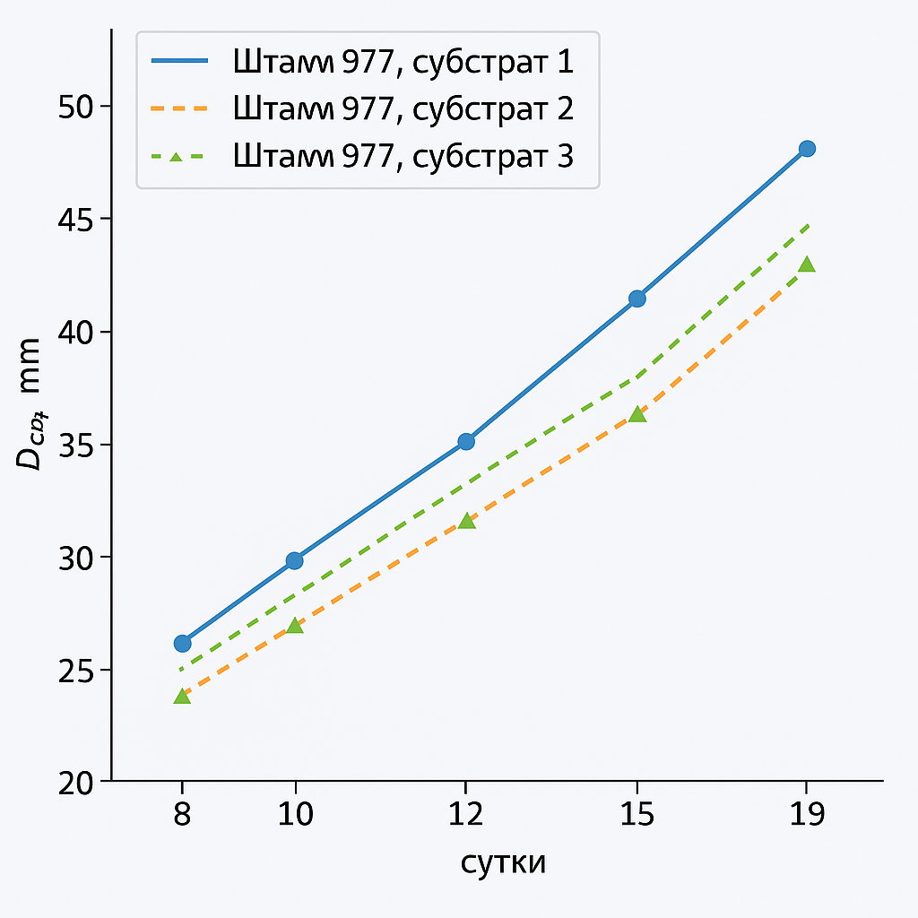 Создай график зависимости среднего диаметра (Dср, мм) от продолжительности (сутки), график должен отражать субстраты и повторности 
Штамм 977,субстрат 1		Штамм 977,субстрат 2		Штамм 977,субстрат 3	
Сутки	повторность	Dср, мм	повторность	Dср, мм	повторность 	Dср, мм
8	1	20	1	23,5	1	20
	2	18,5	2	21,5	2	19
10	1	27	1	27	1	25,5
	2	25	2	28	2	23
12	1	31	1	30	1	27,5
	2	28	2	28,5	2	27
15	1	35	1	37	1	35,5
	2	33	2	37	2	32
19	1	44,5	1	44,5	1	40,5
	2	39	2	39	2	35,5