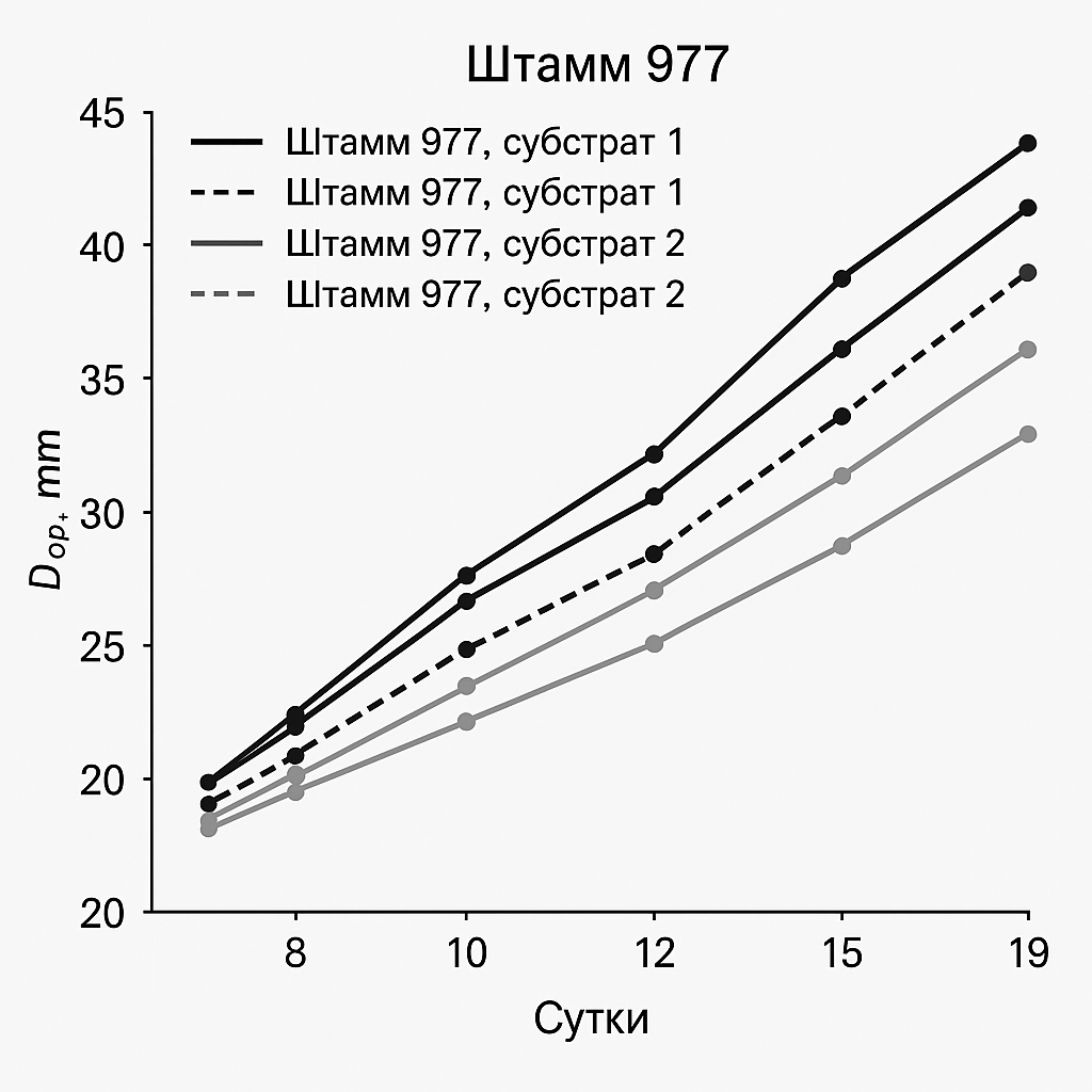 Создай график зависимости среднего диаметра (Dср, мм) от продолжительности (сутки), график должен отражать субстраты в двух повторностях, таким образом на графике должно быть шесть линий. Штамм 977,субстрат 1 Штамм 977,субстрат 2 Штамм 977,субстрат 3 Сутки повторность Dср, мм повторность Dср, мм повторность Dср, мм 8 1 20 1 23,5 1 20 2 18,5 2 21,5 2 19 10 1 27 1 27 1 25,5 2 25 2 28 2 23 12 1 31 1 30 1 27,5 2 28 2 28,5 2 27 15 1 35 1 37 1 35,5 2 33 2 37 2 32 19 1 44,5 1 44,5 1 40,5 2 39 2 39 2 35,5